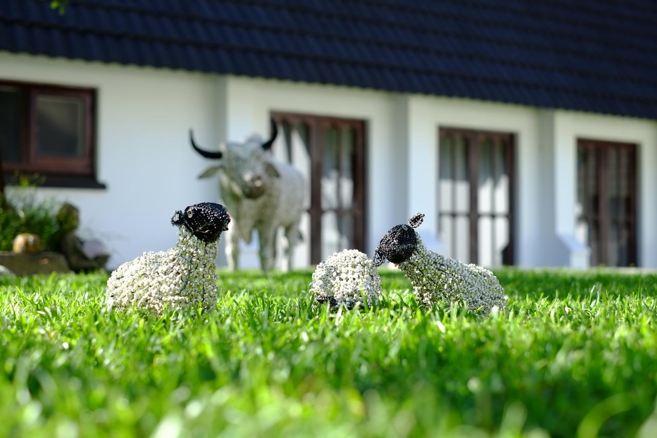 Kilmorna Manor Guest House Shoemanskloof Esterno foto